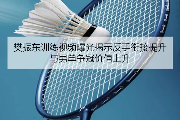 樊振东训练视频曝光揭示反手衔接提升与男单争冠价值上升