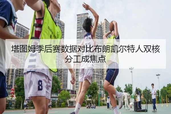 塔图姆季后赛数据对比布朗凯尔特人双核分工成焦点